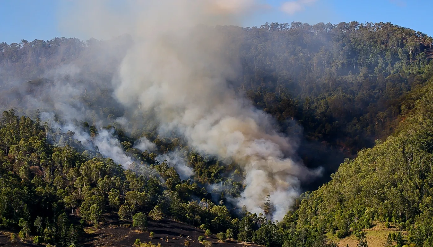 Waldbrand mit Rauchsäule, aus der Luft gesehen